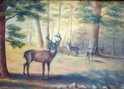 Deer in the Woods An Oil Painting by Grace Leonard