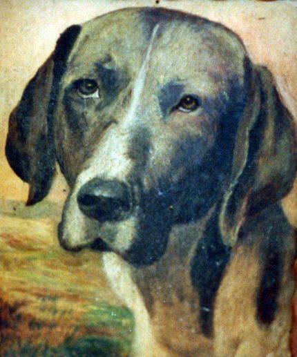 Portrait of a Dog - An Oil Painting by Grace Leonard