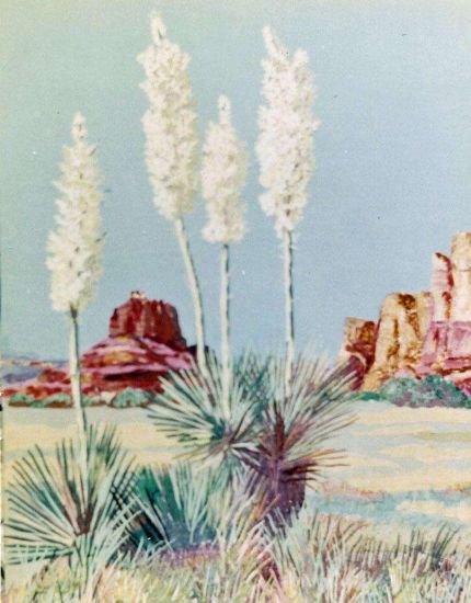 Yucca in Monument Valley - A Cloth Collage by Grace Leonard