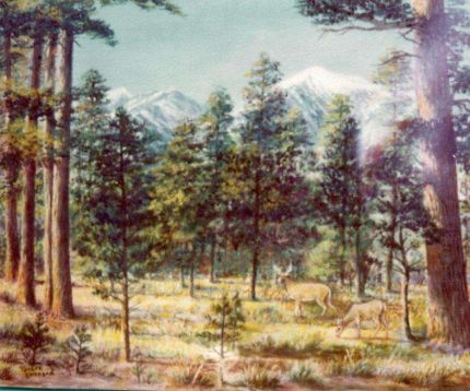 Deer in the Pines- An Oil Painting by Grace Leonard