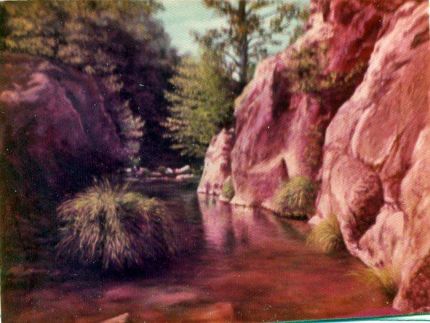 Oak Creek Canyon - An Oil Painting by Grace Leonard