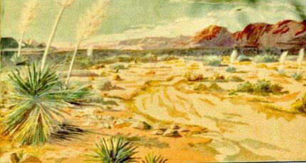 Yuccas in the Desert Wind - A Cloth Collage by Grace Leonard
