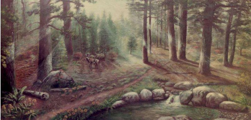 Deer and Sunbeams An Oil Painting by Grace Leonard