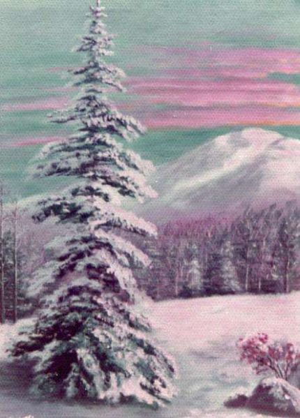 Mountain Spruce - An Oil Painting by Grace Leonard