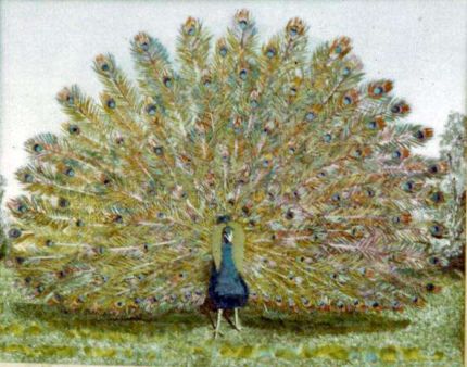 Peacock - A Cloth Collage by Grace Leonard
