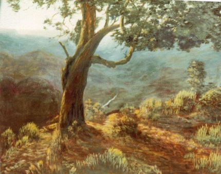 Old Oak Lookout -An Oil Painting by Grace Leonard